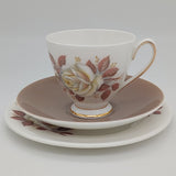 Queen Anne - White Rose with Brown Leaves - 21-piece Tea Set