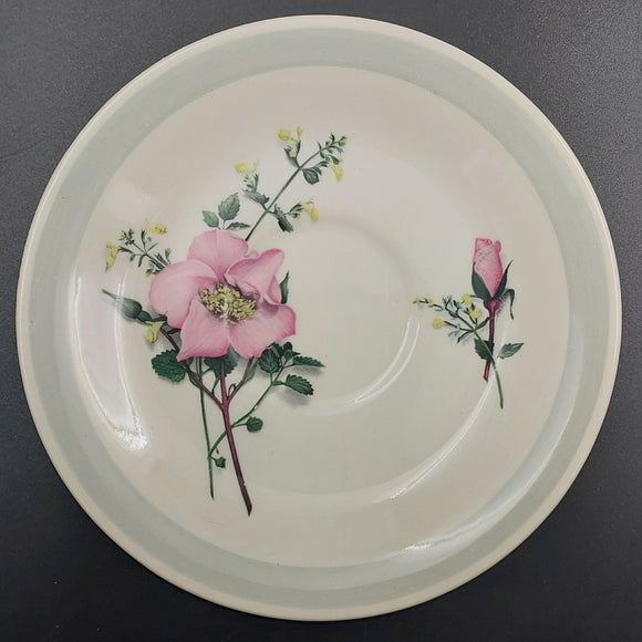 Wood & Sons - Pink Roses with Grey Band - Saucer