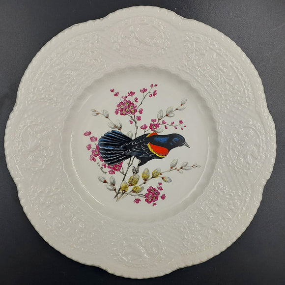 Royal Cauldon - Redwinged Blackbird - Display Plate