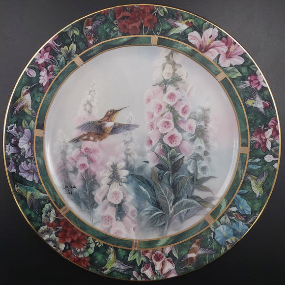 Lena Liu's Hummingbird Treasury: The Rufous Hummingbird - Display Plate