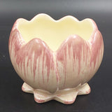 Shorter & Son - Water Lily - Sugar Bowl
