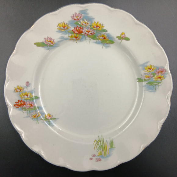 Grindley Creampetal - Water Lilies - Dinner Plate