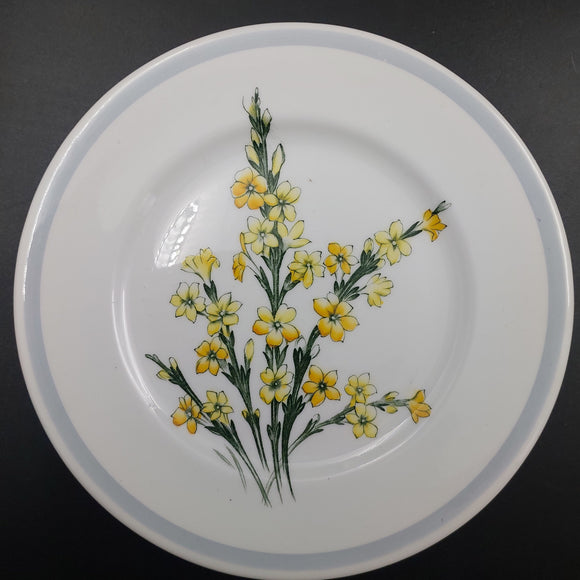 Royal Albert - Winter Jasmine - Side Plate