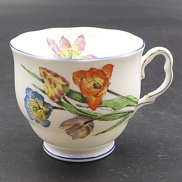 Royal Albert - Colourful Tulips, 7517 - Cup