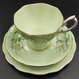 Royal Albert - Laurentian Snowdrop on Green - 21-piece Tea Set