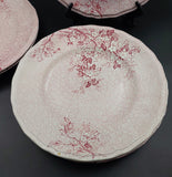 Wedgwood - Monique - Dinner Plate