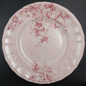 Wedgwood - Monique - Dinner Plate