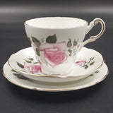 Regency - Pink Rose - 20-piece Tea Set