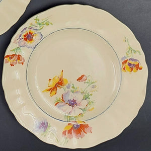 J & G Meakin - Rainbow - Side Plate