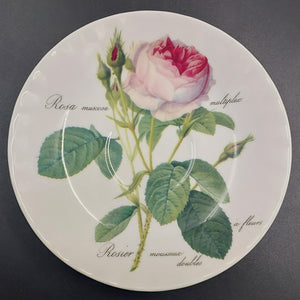 Roy Kirkham - Redoute Roses - Saucer