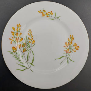 Shelley - Golden Broom, 14010 - Side Plate