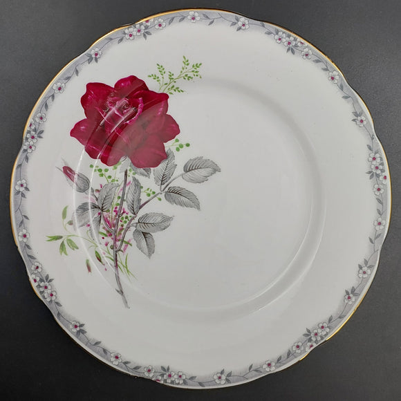 Royal Stafford - Roses to Remember, Maroon - Side Plate