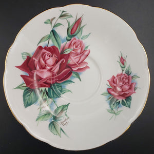 Royal Standard - Pink and Red Roses - Saucer