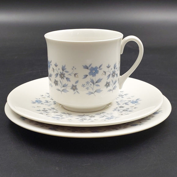 Royal Doulton - Galaxy, TC1038 - Trio