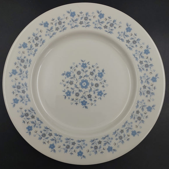 Royal Doulton - Galaxy, TC1038 - Dinner Plate