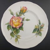 Royal Standard - Yellow-Pink Roses - 21-piece Tea Set