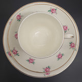 Bristol - Scattered Pink Roses - Trio