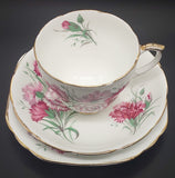 Duchess - Carnations - Trio