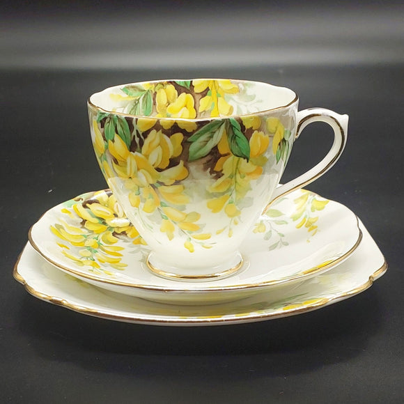 Royal Standard - Laburnum - Trio