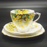 Royal Standard - Laburnum - Trio