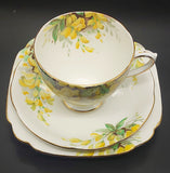 Royal Standard - Laburnum - Trio