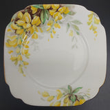 Royal Standard - Laburnum - Trio