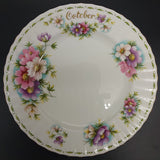 Royal Albert - Flowers of the Month Series: October, Cosmos - Luncheon Plate