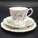 Royal Albert - Friendship Series: Wild Rose - Trio