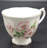 Royal Albert - Friendship Series: Wild Rose - Trio