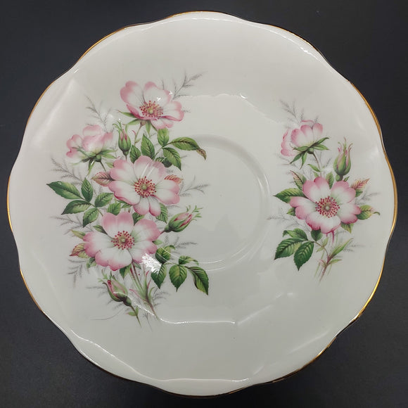 Royal Albert - Friendship Series: Wild Rose - Saucer