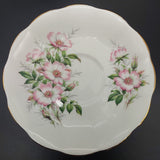 Royal Albert - Friendship Series: Wild Rose - Saucer