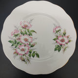 Royal Albert - Friendship Series: Wild Rose - Trio