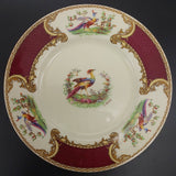 Myott - Chelsea Bird - Luncheon Plate