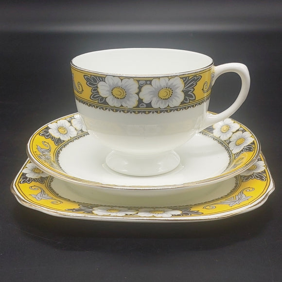 Samuel Radford - White Flowers on Yellow Band - Trio