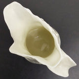 Royal Worcester - White Fern Leaves - Milk Jug