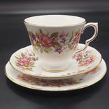 Colclough - Wayside - 21-piece Tea Set