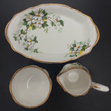 Royal Albert - White Dogwood - Coffee Service