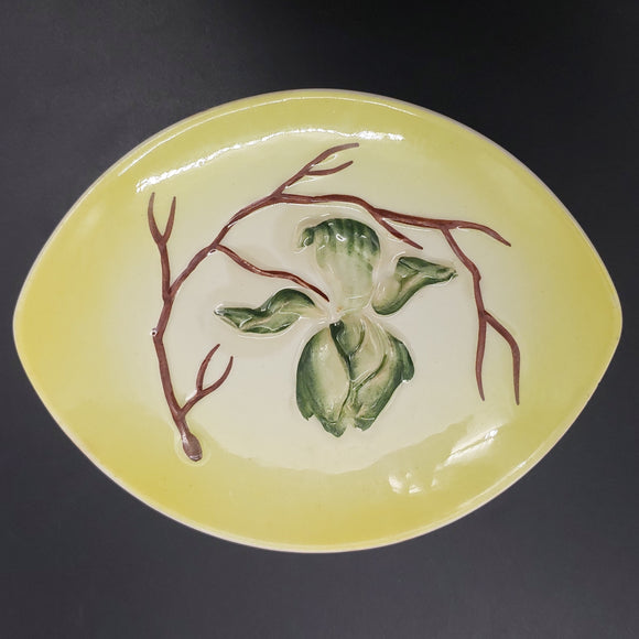 Carlton Ware - Green Magnolia on Yellow - Jam/Butter Dish