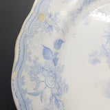 J T Hudden - Asiatic Pheasant - Platter