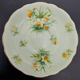 Hammersley - Daffodils on Green - Duo