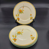 Grindley - Carmen - Dinner Set