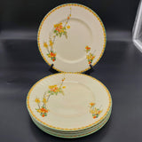 Grindley - Carmen - Dinner Set