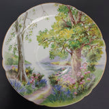 Shelley - Woodland, 13348 - Saucer