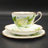 Roslyn - Wheatcroft Roses, No 3 Peace - Trio with Rosebud Cup Interior