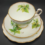 Roslyn - Wheatcroft Roses, No 3 Peace - Trio with Rosebud Cup Interior