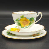 Roslyn - Wheatcroft Roses, No 4 Mme Ch Sauvage - Trio with Rosebud Cup Interior