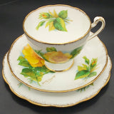 Roslyn - Wheatcroft Roses, No 4 Mme Ch Sauvage - Trio with Rosebud Cup Interior