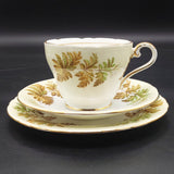 Aynsley - Fern Fronds, Yellow Band - 20-piece Tea Set