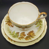 Aynsley - Fern Fronds, Yellow Band - 20-piece Tea Set