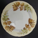 Aynsley - Fern Fronds, Yellow Band - 20-piece Tea Set